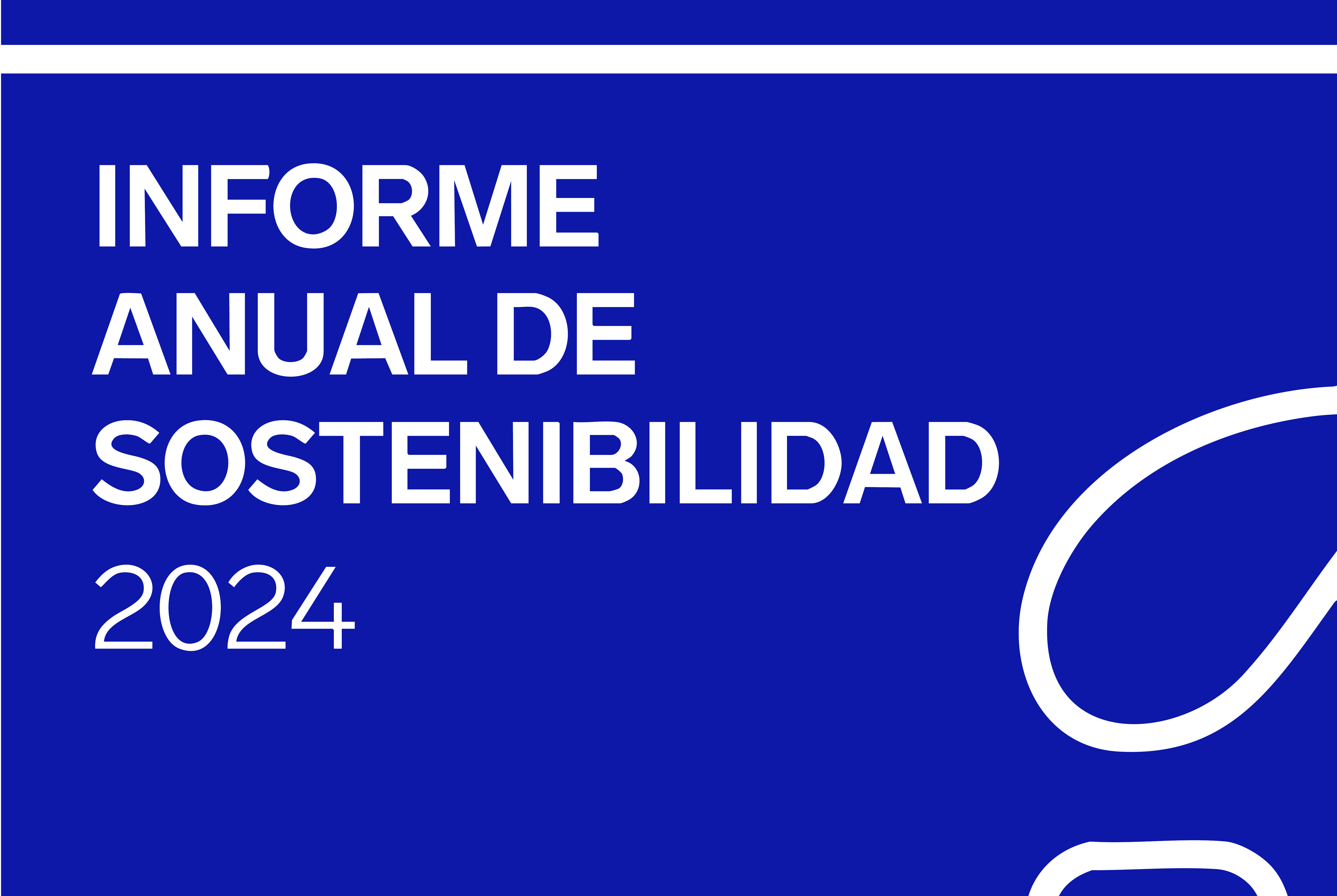 Zubex: Presentamos nuestro primer Informe Anual de Sostenibilidad 2024
